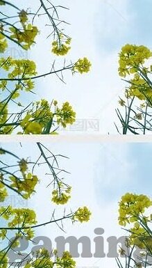 湖北微信炸金花群-湖北微信炸金花群，线上娱乐的新风尚