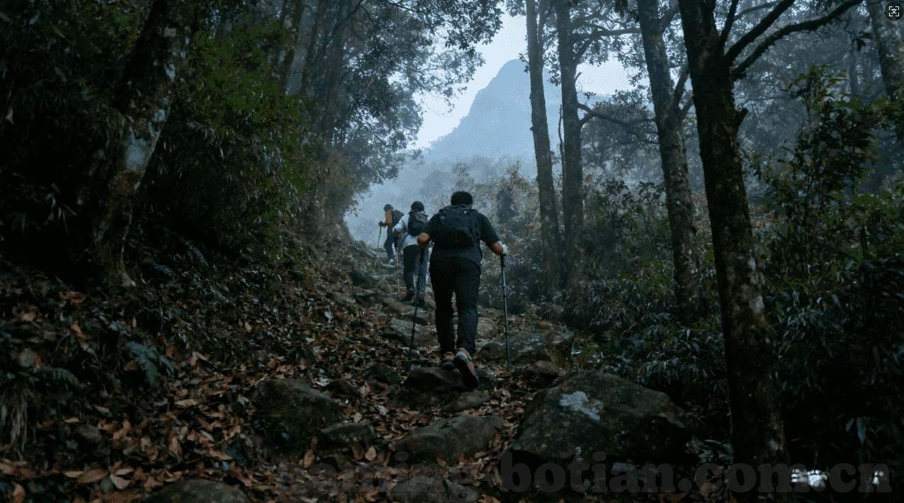 九游游戏 手机版下载-畅游九游，开启手机游戏的奇妙旅程