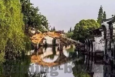 世界杯瑞士在哪个组-世界杯瑞士分组情况解析