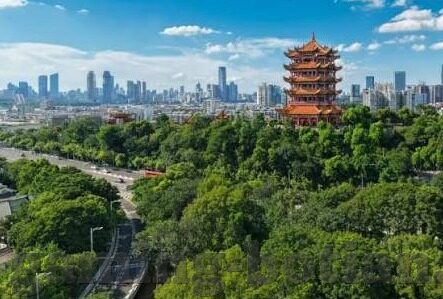 原汁水果机冰沙-原汁水果机冰沙，夏日里的清新滋味